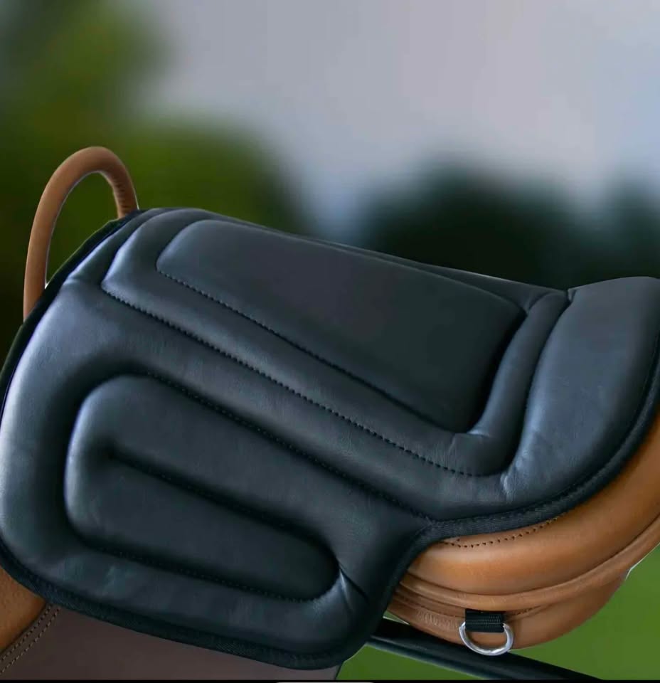 Equestrian Saddle Pad Ergonomic Design