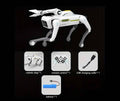 Dynamic AI Dog Voice command Robot