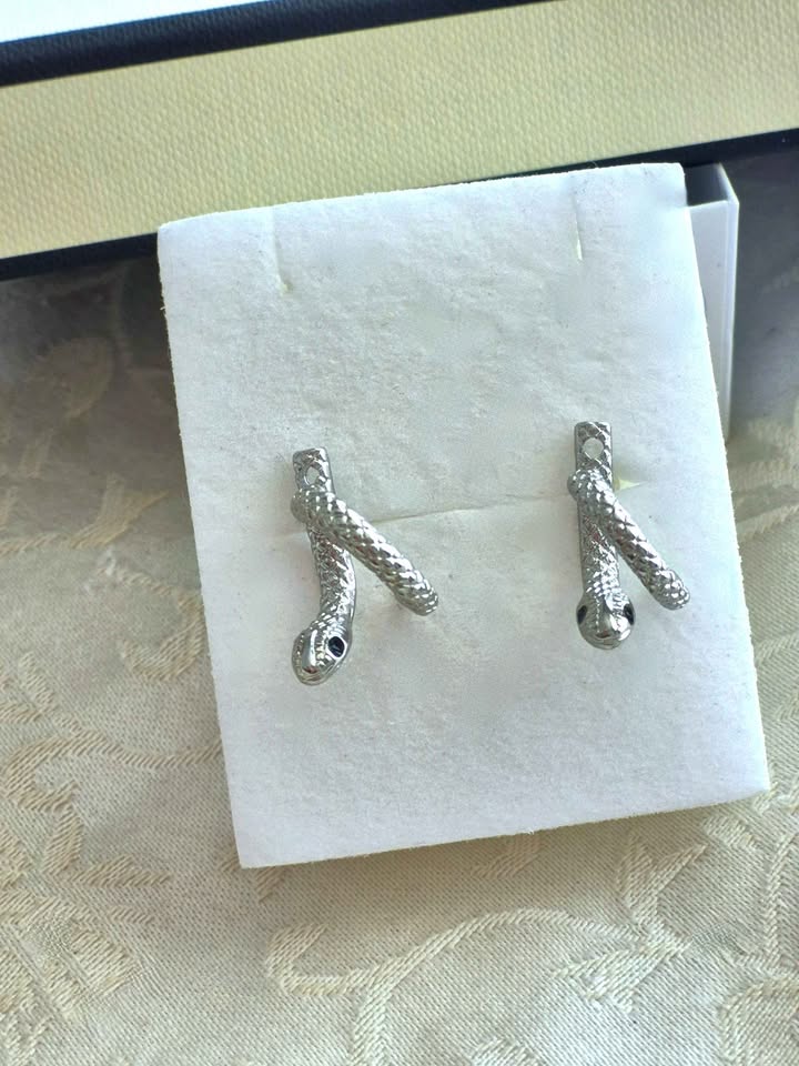 New Snake silver colour earrings