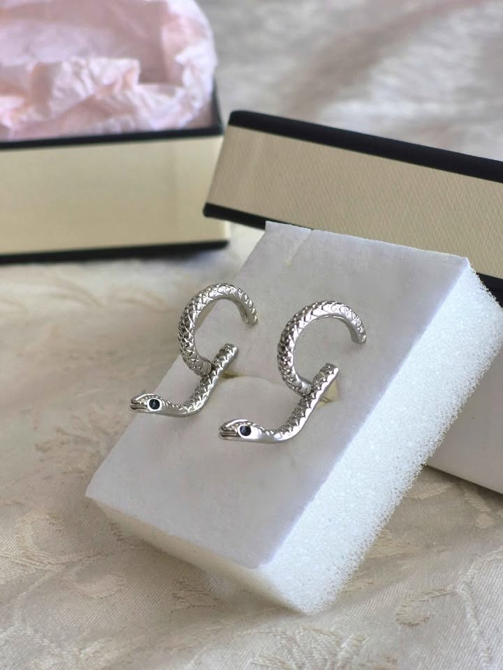 New Snake silver colour earrings